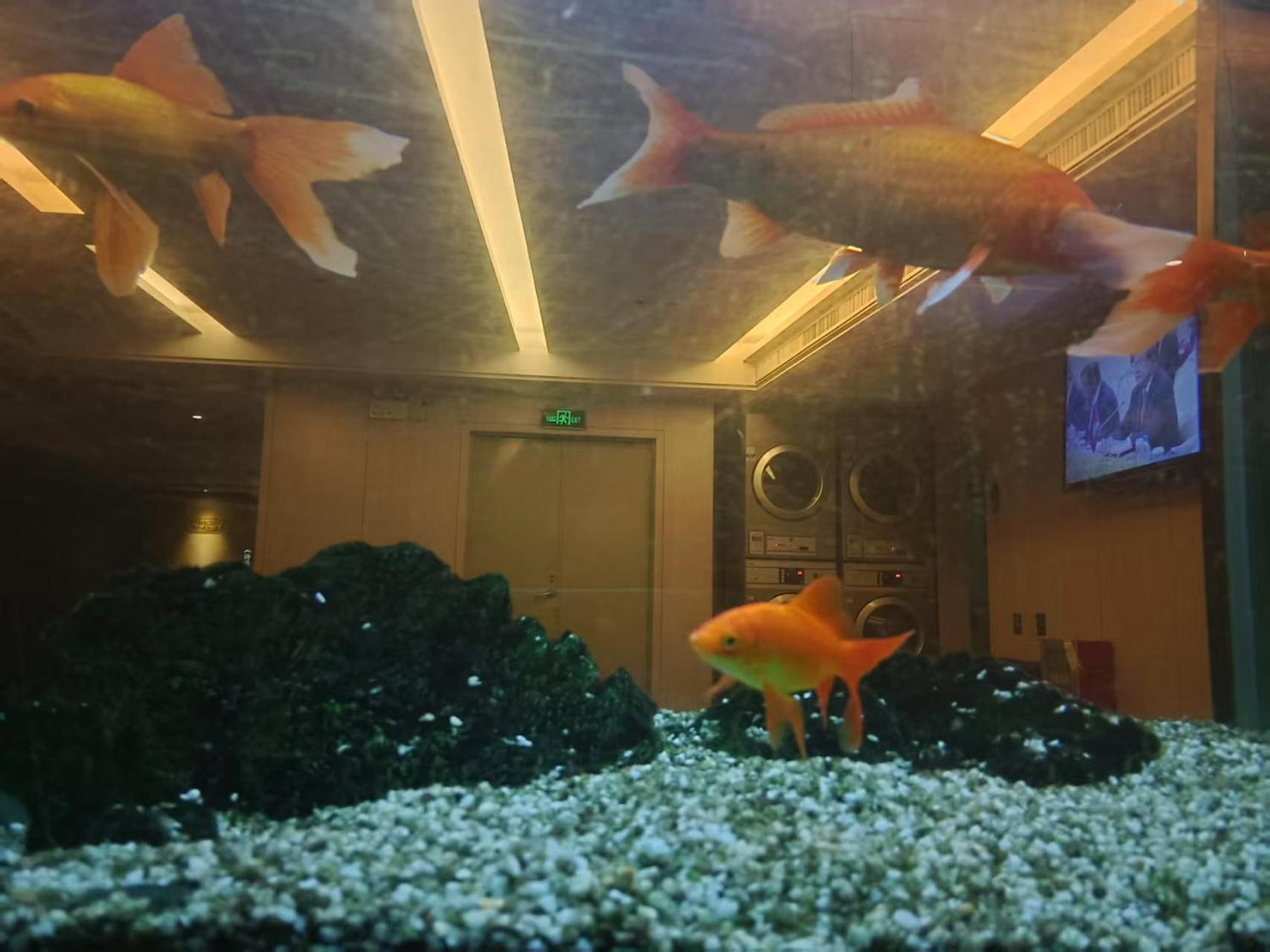 Paco Hotel Tianhe Coach Terminal Metro Satation Guangzhou-Free Shuttle Bus For Canton Fair Екстериор снимка